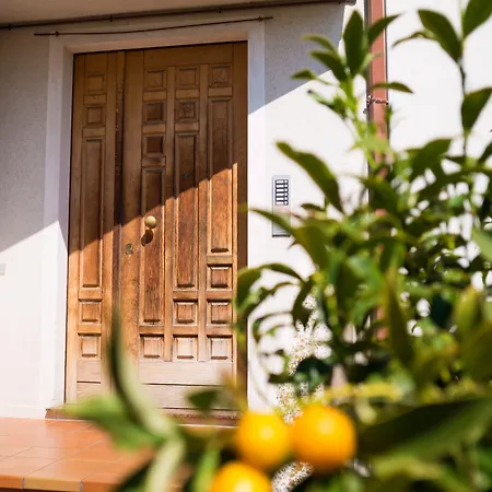 Lillananna Reload Porto SantʼElpidio